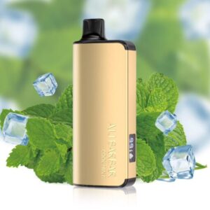 ALIBARBAR-9000-Puffs-Vape-Cool-Mint-The-Vape-Bar-www.thevapebar.com_.au_-510x510.jpg